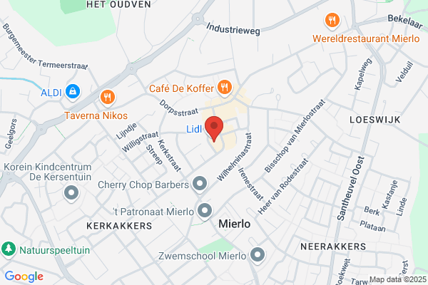 Wapen Van Geldrop, Het
