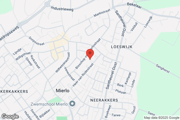 Horeca Security Nederland