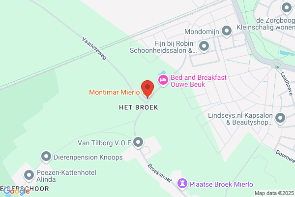 Timmermans