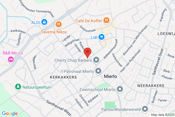 Huisvrouwen, Ned Ver Van