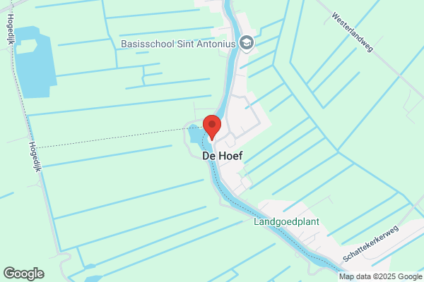 Fa De Rooij
