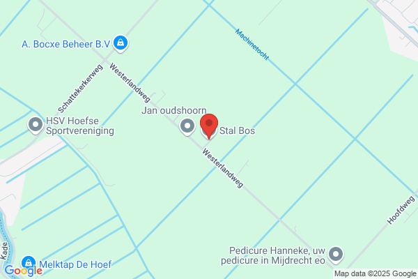 F Bos Bv