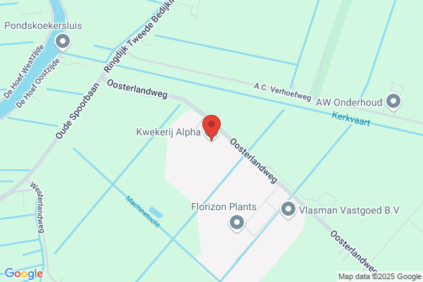 Fa. Kwekerij Bos/Raaphorst