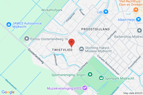 Twistvlied