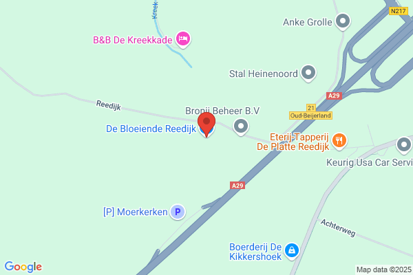 L Reedijk