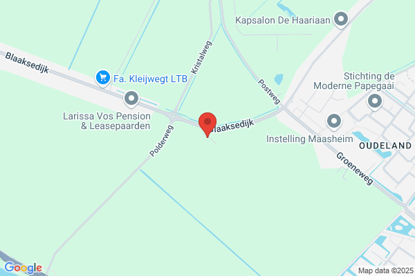 Rapati
