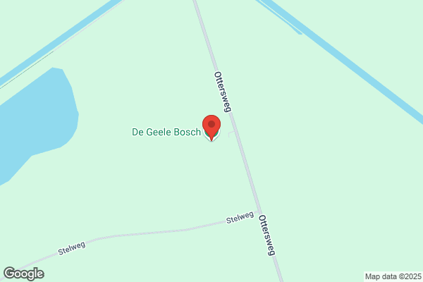 Geele Bosch, De