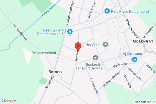 Autobedrijf Geene Bv