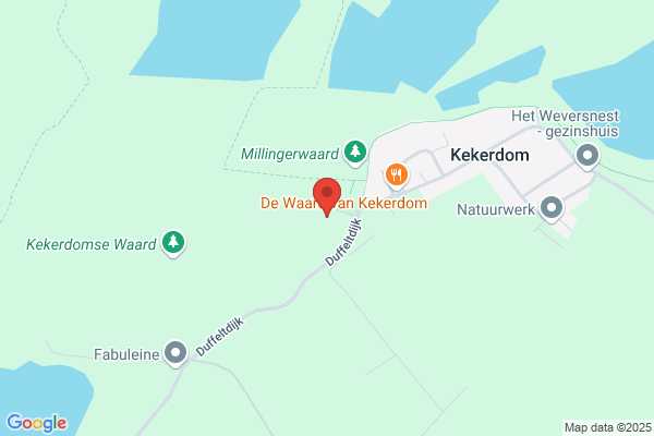 Godelieve Kip