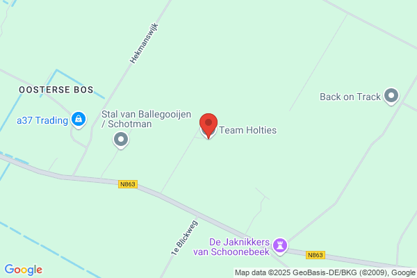 Holthuysen Coppers Vof