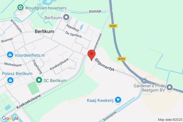 Garage Rinsma Berlikum BV
