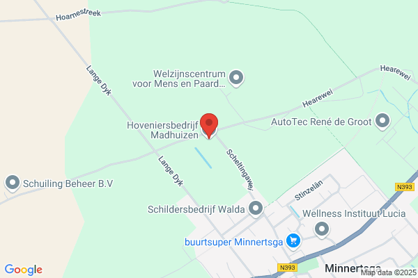 Plant & Tuin Steengoed in Groen