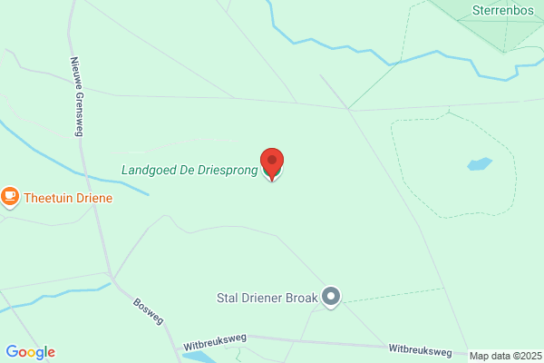 Driesprong, De