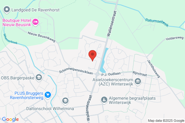 Hofsté Tuinaanleg en Onderhoud Jan te