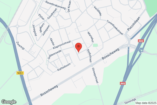 Schilderwerken Ton vd Wouw