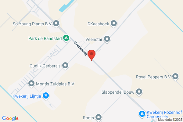 Van Der Wilt Management Advies