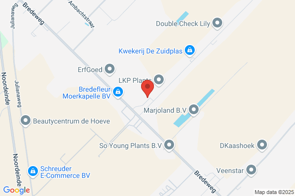 Eretz Nederland Bv