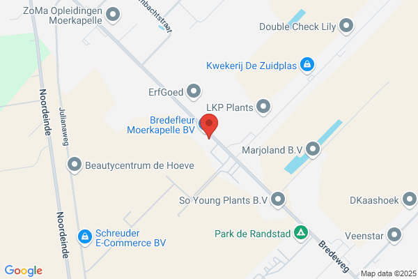 Bloemenboetiek Madeliefje