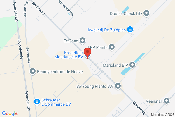 Cetc Import Export Van Bloemen En Planten