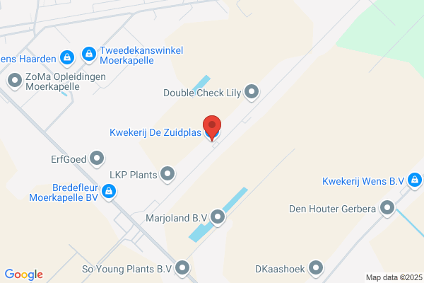 Gerard Van Gils Export Boeketterie