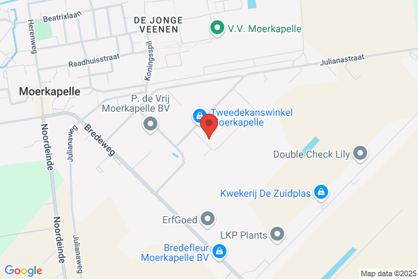 Cv Hoogendoorn