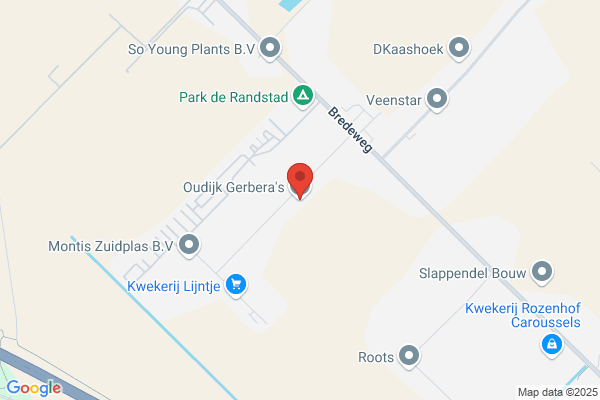 Kwekerij A. Oudijk Bleiswijk Bv