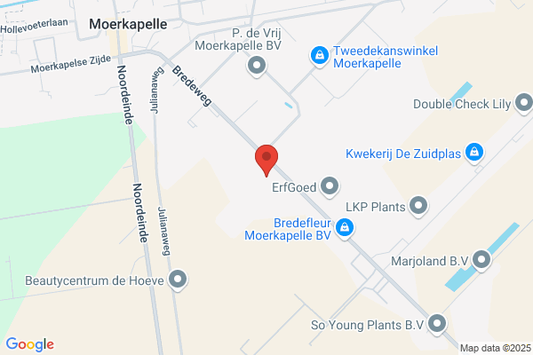 Kwekerij G. Hoogendoorn