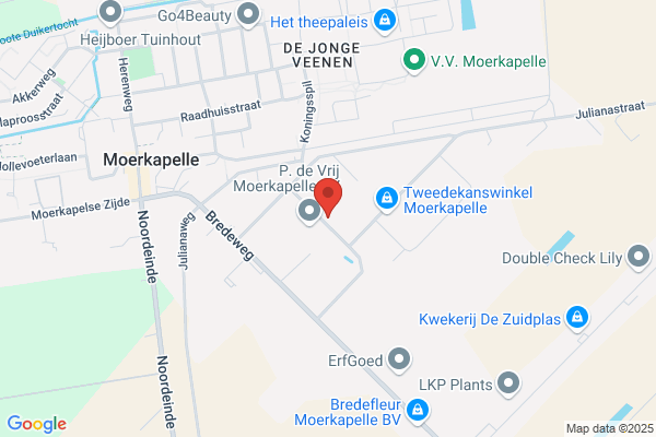 Verschoor, Ton