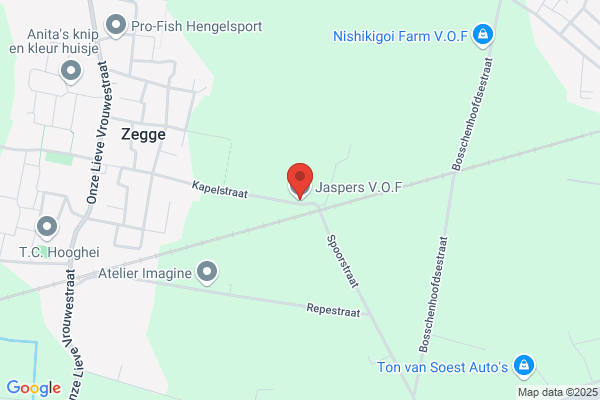 Jaspers, Jurgen
