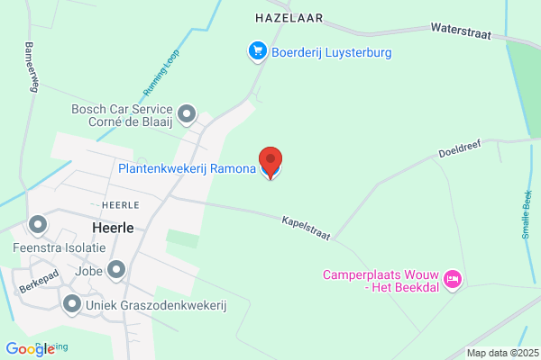 Ramona Plantenkwekerij J de Blaaij