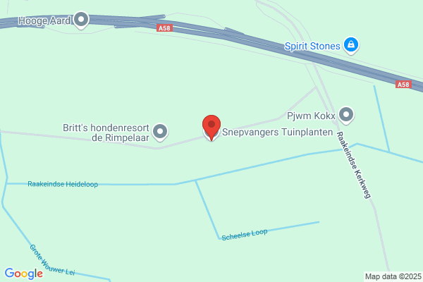 Boomkwekerij Snepvangers Bv