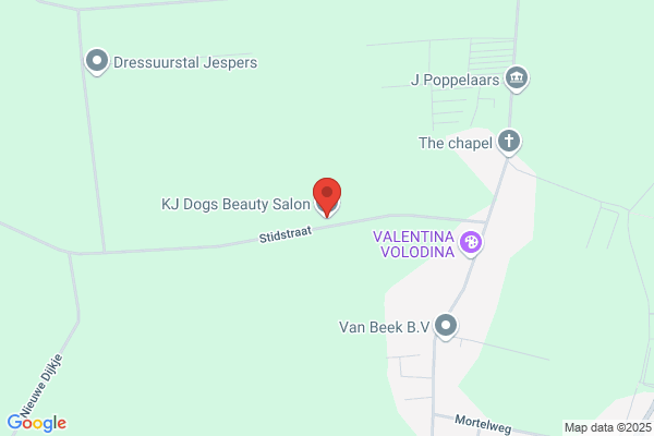Dog's Beauty Shop
