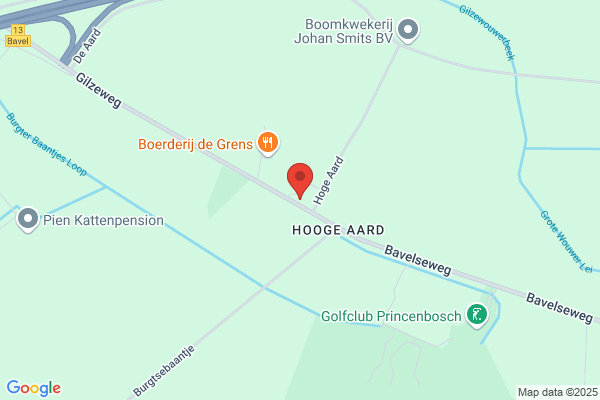 Witteveen