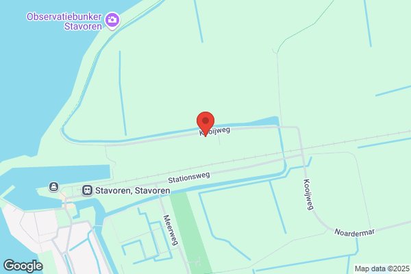 Vier Heemskinderen, De
