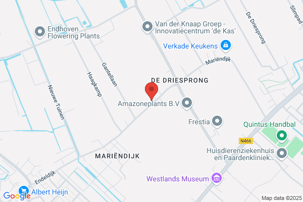 Kwekerij Marienoord Bv