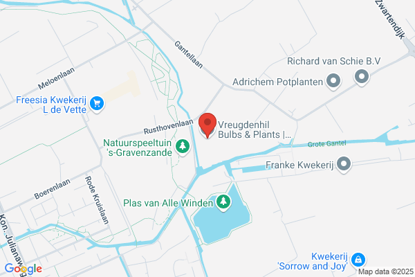Interieurplant Residentie