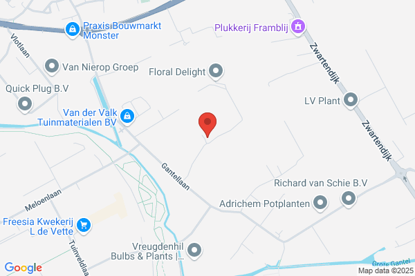 Fa J.N. Enthoven En Zn