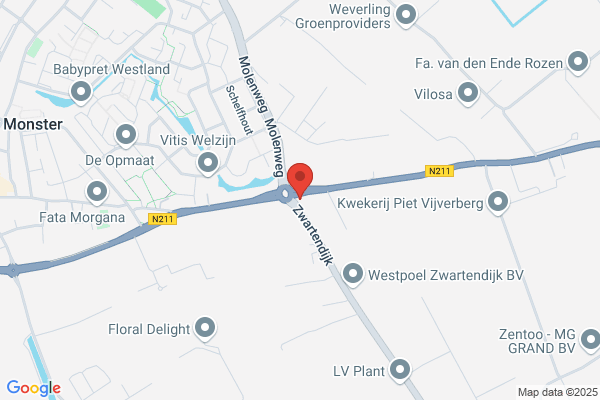 Firma P. Van Zijl En Zonen
