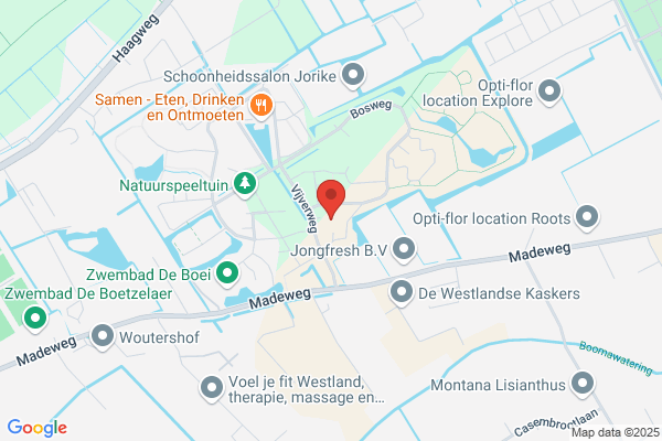 Westerhonk, Het