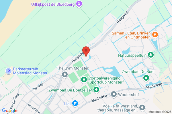 Firma M.J. De Wilde En Zoon