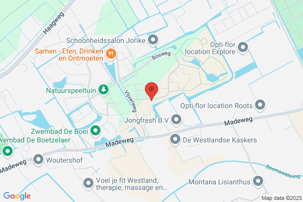 Groen, Gebrs