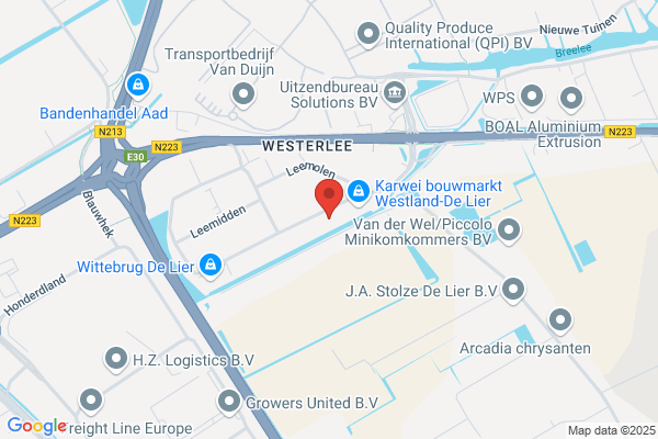 Vreede, Geert De
