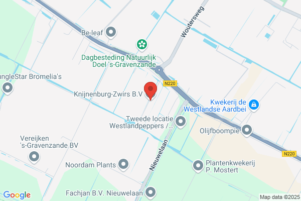 Knijnenburg, M