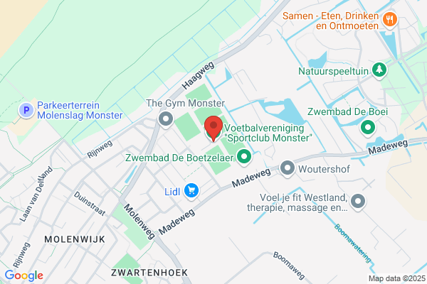 Voort, C A P Van Der