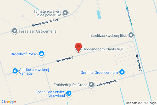 W & P Hoogendoorn Vof, Gebr