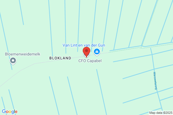 Capel Bv