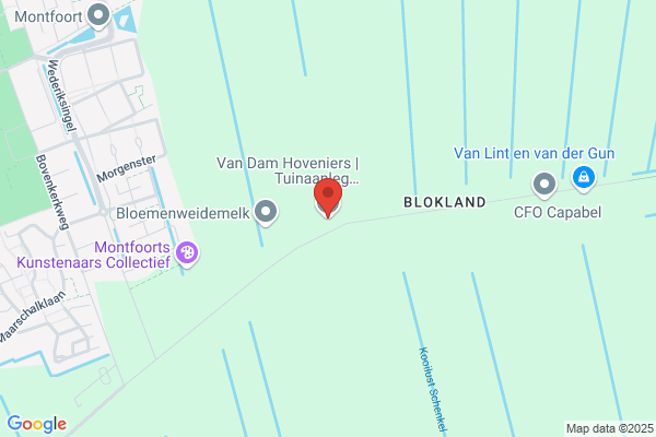 Dam Groenvoorzieningen, Van