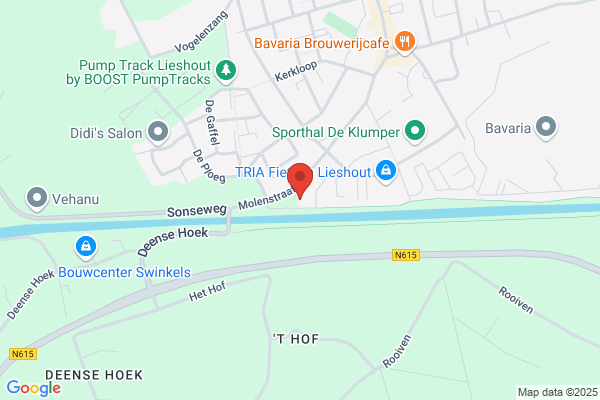 Lieshout, Van