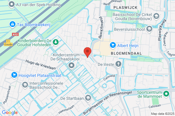 Marktvisie