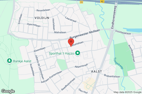 Goudsmit, P W